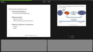 2016 06 01 10 02 Translating research evidence into practice using the  International Safe Community
