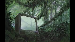 🌿CANOPY GROWTH🌿 // Jungle Vaporwave Music Mix