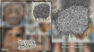 MxTxA - Facial Flexiform Neurofibromatosis [Full Album] (Gorenoise)