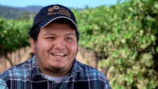 Sonoma Corps: Career Readiness & Internships