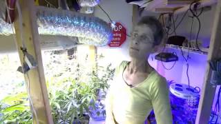 RAW  Marijuana grower in Washington