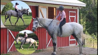 Riding My Horse for the 1st Time in OVER A YEAR!