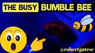 The Busy Bumble Bee - Bluelibs (Madlibs style Reading) - By RobertGatesC and Fam