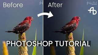 How to Edit Your Photos | Editing with AJINXD Artist