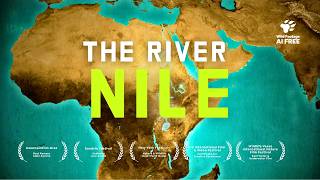 Untamed Nile: Wildlife & Wonders Along the World's Longest River | 4K Nature Documentary