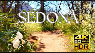 Inspiring Uplifting Music and Nature Relaxation Ambiance Masterpiece in 4K  3 hours