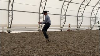 Create Suppleness By Balancing Your Horse