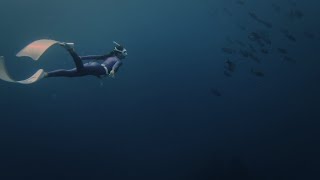 The Way of Water | Journal VI