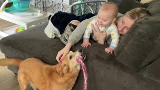 what the dog doin
