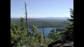 Remembering Terrace Pines
