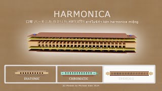 How to build a Tremolo Harmonica - 하모니카 口琴 ハーモニカ मुँह हारमोनिका ฮาร์โมนิก้าปาก kèn harmonica miệng