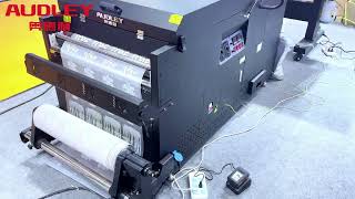 AUDLEY 4 heads dtf printer