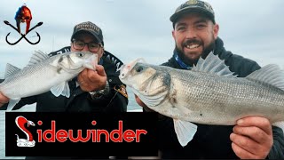 MENTAL bass session / lure fishing /Small boat fishing uk 🇬🇧 #fishing #bass #fish #lure #youtube