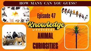 #47 - Guess the animal curiosity #trivia #fun #quiz #knowledge #world #animal #animals