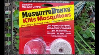 Effective Natural Mosquito Control for Less than $10