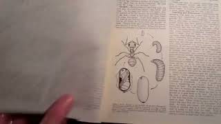 Flat Earth   ENCYCLOPEDIA From 1958 Mentions DOME At 13,000ft In Antarctica !