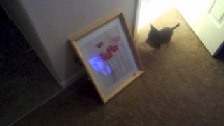 Glee! Life under 3 min