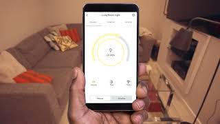 Hive App
