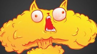 exploding kittens