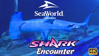 Shark Encounter Full Tour 2025 🦈 | Up-Close Sharks Experience in 4K POV