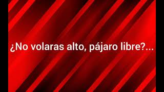 Lynyrd Skynyrd - Free Bird" Subtitulada a español. (recortada).