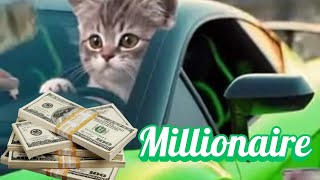 Millionaire  manifestation song