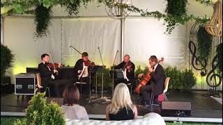 Štrausa stīgu kvartets( Strauss string quartet) Coldplay - Viva La Vida