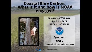 Coastal Blue Carbon: What is it and how is NOAA engaged