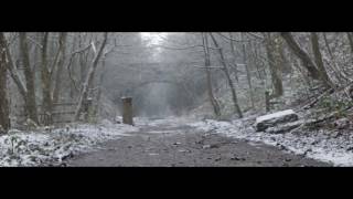 J -4 to Christmas Day ... The Voice of Franz sings "SNOWBIRD"