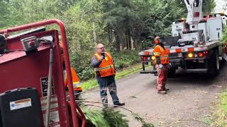 Jefferson County Public works employee kills Rhododendron for Bike Trails