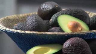 Seeding and Accolades for Avocados