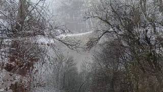 MUZICA VECHE ROMANEASCA, MELODII VECHI DE PETRECERE