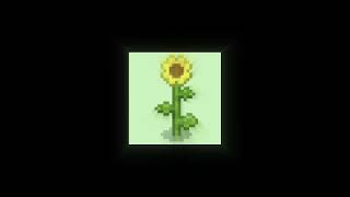 [FREE] LOFI "SUNFLOWERS" Base de rap Lofi - Traplofi /Instrumental de Uso Libre/LOFI(Prod.toromusic)