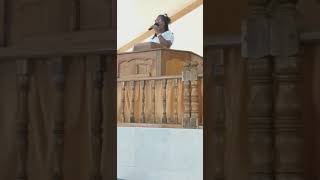 Have You Been To The Potter's House: Minister Rose-marie Logan