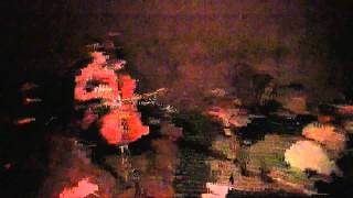 Heavy Sugar Duo - Billie Jean