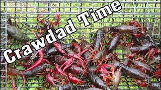 TIPS & TRICKS ... FOR SPRING  'CRAWDADS'