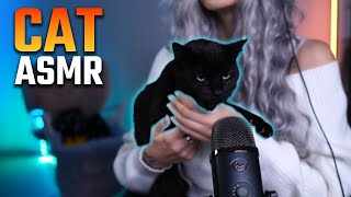 Cat ASMR vol. 2