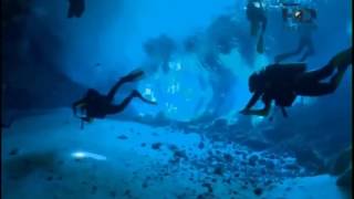 O Encanto do Azul Profundo - Ep 06  América do Norte Dublado HD Completo Discovery Theater