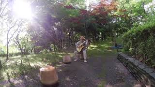 早朝の公園で弾く「ある老芸術家の晩秋」