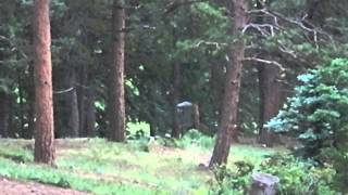 Disc Golf - Joel A. drives Hole 20 at Beaver Ranch in Conifer, CO