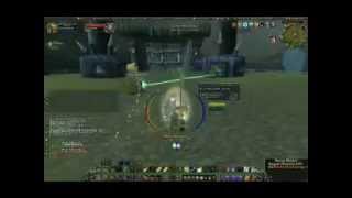 ARENA PVP - Holy Pally/Affliction Lock