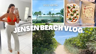 Exploring new towns, moving!?, making sourdough pizzas, house hunting & life in Florida!