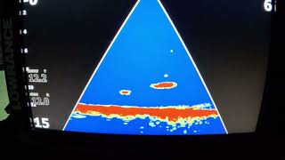 Fish hit both lures Eagle Eye 9 live and up through ice fishing hole