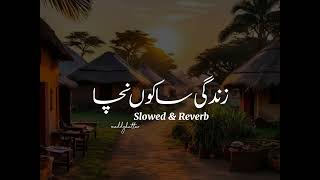 Zindagi Saku Nacha | Slowed & Reverb | Tiktok Viral Song