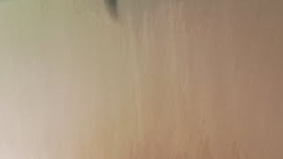 The knowledge Hub is going live!