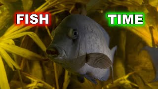 Aquarium | Underwater Habitats | What's here?