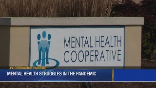 Mental Health Struggles In The Pandemic