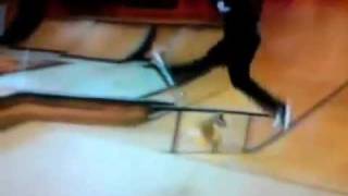 chris cole 1080 flip!!