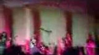 the chubbies - how can i fall