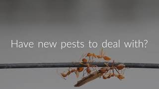 The Pestop Pest Control